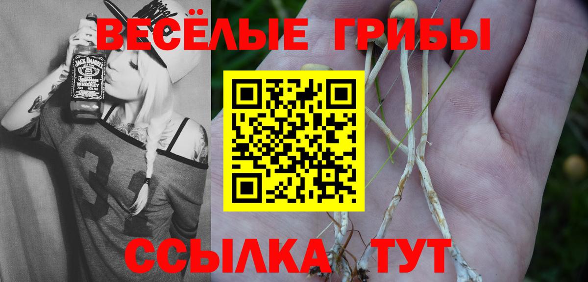 Псилоцибиновые грибы Psilocybe  Вход с VPN  Реж 